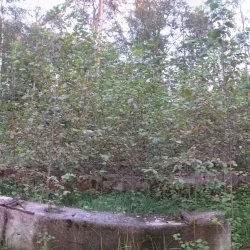 PANO_20160817_204411